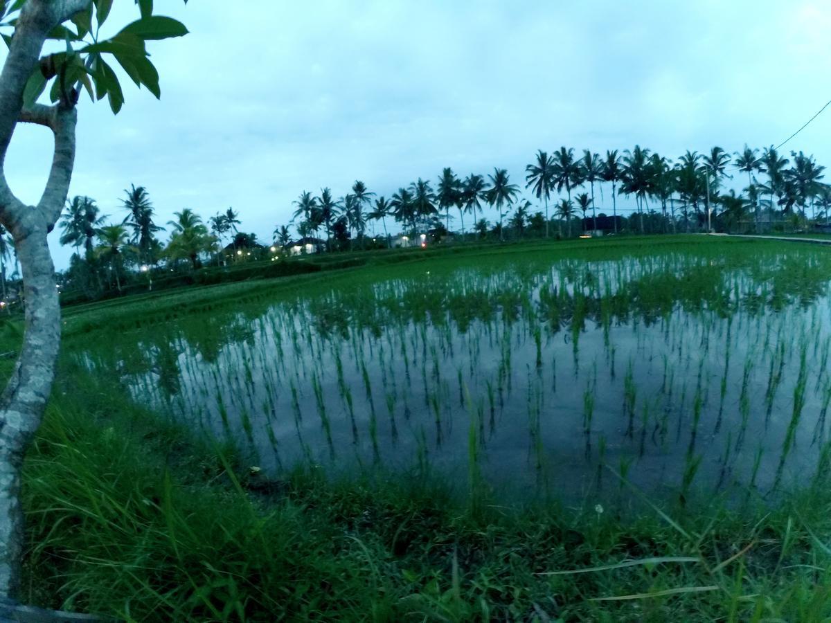 Amaya Cottage Ubud By Shm מראה חיצוני תמונה