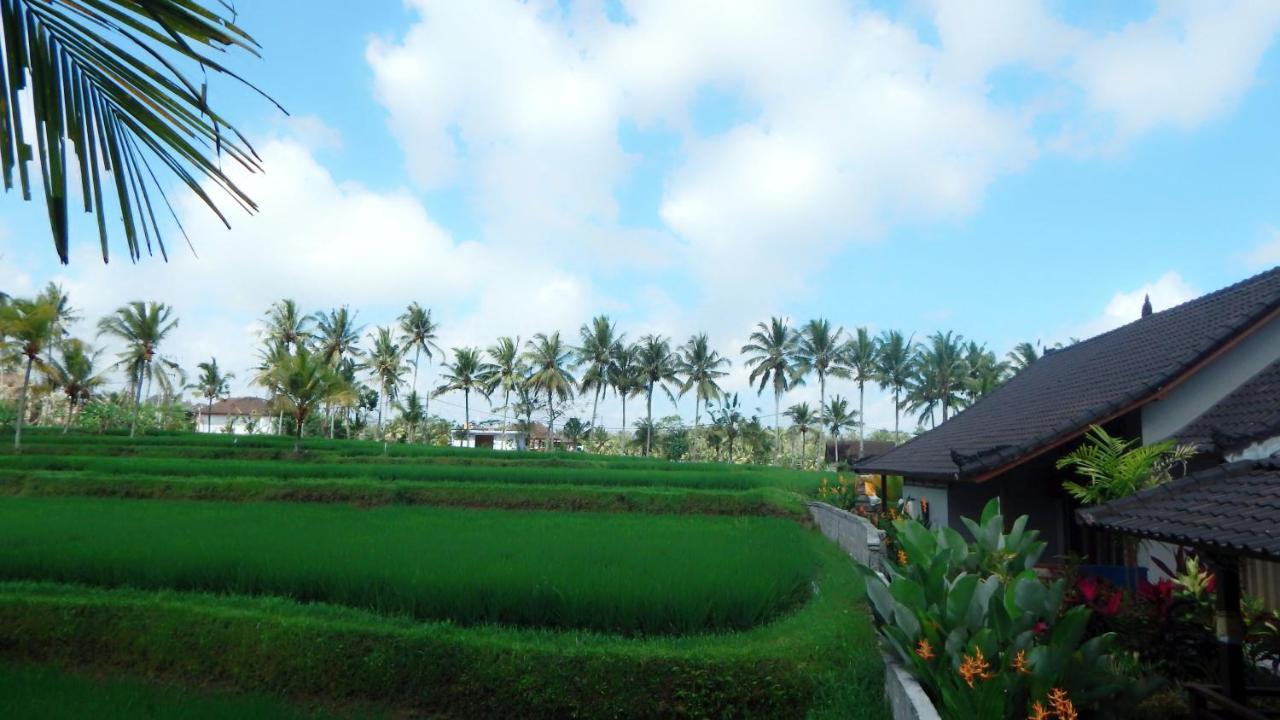 Amaya Cottage Ubud By Shm מראה חיצוני תמונה