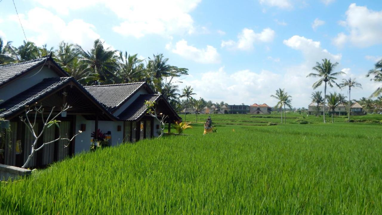 Amaya Cottage Ubud By Shm מראה חיצוני תמונה