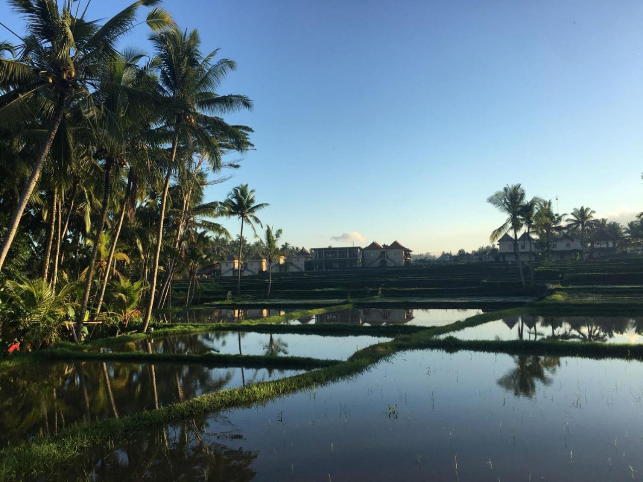 Amaya Cottage Ubud By Shm מראה חיצוני תמונה
