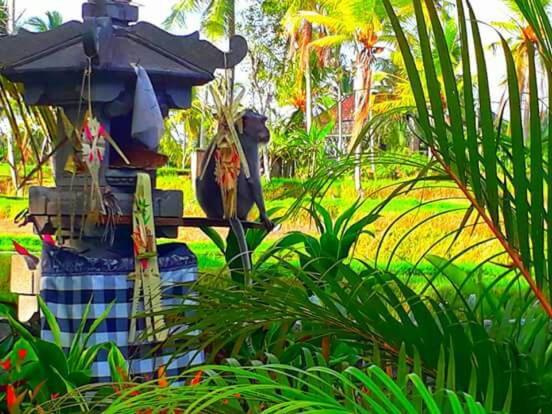 Amaya Cottage Ubud By Shm מראה חיצוני תמונה