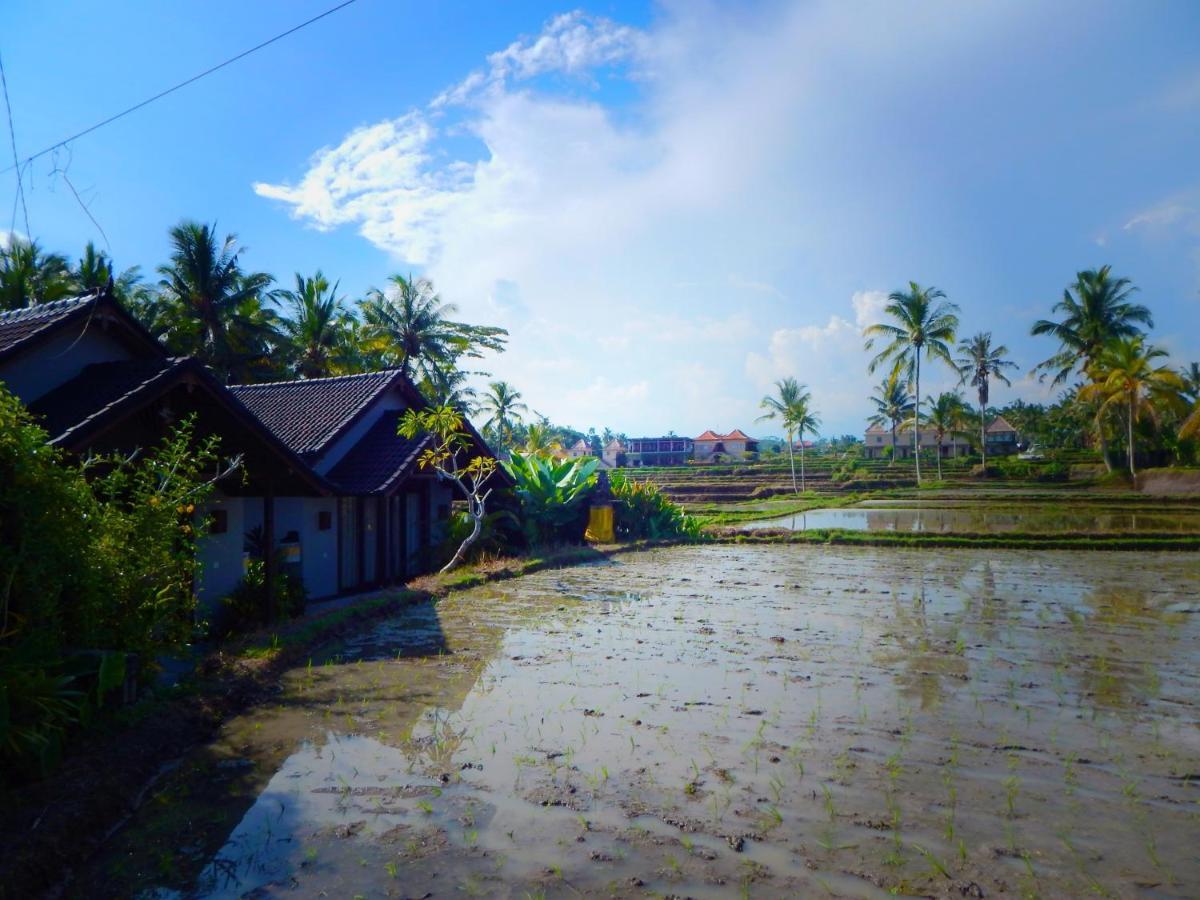 Amaya Cottage Ubud By Shm מראה חיצוני תמונה